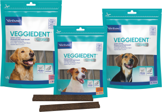 Veggiedent for dogs sale